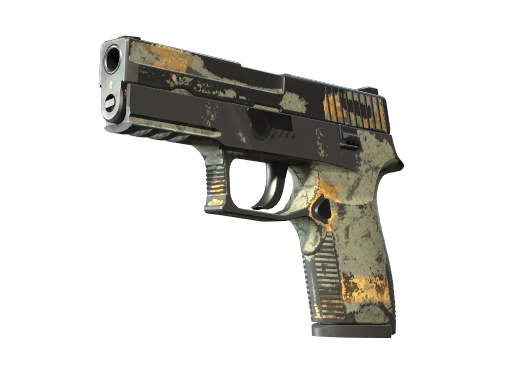 P250 | Modern Hunter