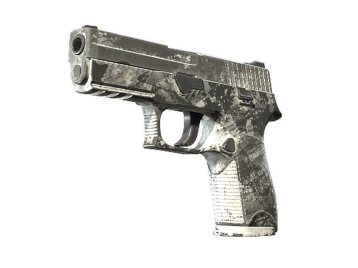 P250 | Sleet