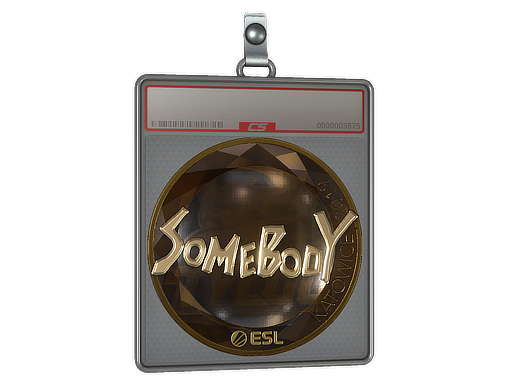 Sticker Slab | somebody (Gold) | Katowice 2019