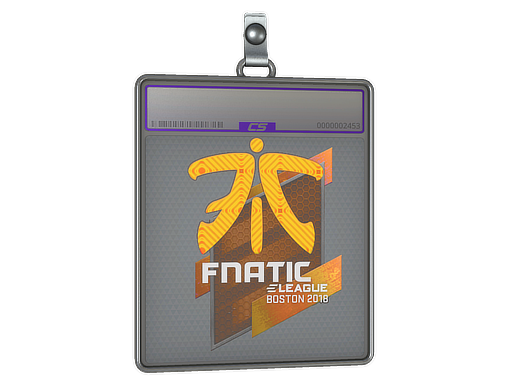 Sticker Slab | Fnatic (Holo) | Boston 2018