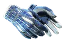★ Sport Gloves | Amphibious