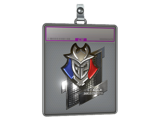 Sticker Slab | G2 Esports (Foil) | Boston 2018