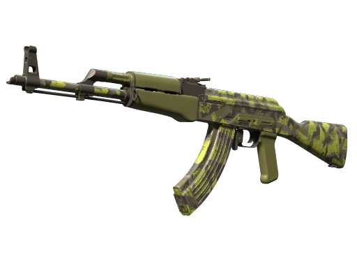 Olive Polycam