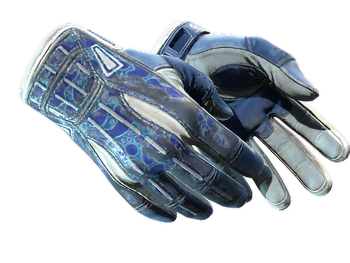 ★ Sport Gloves | Amphibious