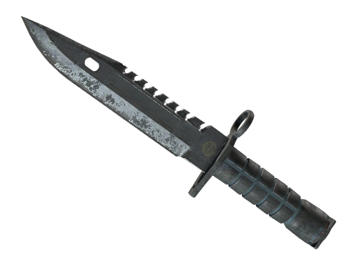 ★ M9 Bayonet | Night